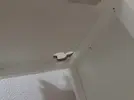 [TodoMarino.com] Mesa acuario
