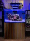 [TodoMarino.com] Vendo Acuario de 200L + Sump (SOLO Madrid-28005)