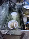 [TodoMarino.com] Vendo Acuario de 200L + Sump (SOLO Madrid-28005)