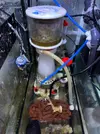 [TodoMarino.com] Vendo Acuario de 200L + Sump (SOLO Madrid-28005)