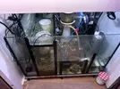 [TodoMarino.com] Vendo Acuario de 200L + Sump (SOLO Madrid-28005)