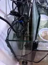 [TodoMarino.com] Vendo Acuario de 200L + Sump (SOLO Madrid-28005)