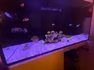 [TodoMarino.com] Reef island 2.0