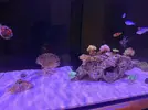 [TodoMarino.com] Reef island 2.0