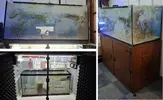 [TodoMarino.com] VENDO ACUARIO MARINO DE 430L + SUMP Y MESA