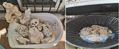 [TodoMarino.com] VENDO ACUARIO MARINO DE 430L + SUMP Y MESA