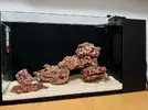 acuario-sin-reflejos.webp