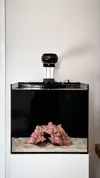 ja3d Cube Reef