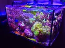 [TodoMarino.com] RedSea Reef 250 + Sump