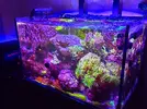 [TodoMarino.com] RedSea Reef 250 + Sump