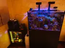 [TodoMarino.com] RedSea Reef 250 + Sump