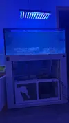 [TodoMarino.com] Vendo Acuario Marino Completo Gama Alta Suracuarios y Sea Dreams (Desmonte)