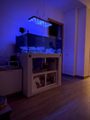 [TodoMarino.com] Vendo Acuario Marino Completo Gama Alta Suracuarios y Sea Dreams (Desmonte)