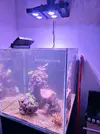 [TodoMarino.com] Cubo completo vivo incluido
