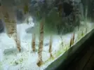 [TodoMarino.com] manchas en cristal