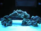 [TodoMarino.com] Red Sea Max 250 RLJ