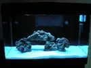 [TodoMarino.com] Red Sea Max 250 RLJ