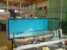 [TodoMarino.com] nuevo prooyecto (inus y acu)