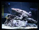 [TodoMarino.com] NANO REEF 60l comenzando...