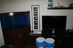 [TodoMarino.com] Mi Nuevo Acuario 350 Litros