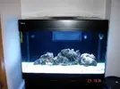 [TodoMarino.com] Taller Usuarios RED SEA MAX