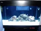 [TodoMarino.com] Taller Usuarios RED SEA MAX