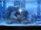 [TodoMarino.com] Mi peque de 60 L