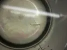 [TodoMarino.com] Un poquito de ayuda para este nano