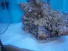[TodoMarino.com] Un poquito de ayuda para este nano