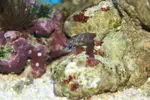 [TodoMarino.com] ¡¡¡¡ Por fin !!!!! Ya empiezo proyecto 220L