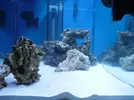 [TodoMarino.com] mi primer marino