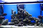 [TodoMarino.com] ¡¡¡¡ Por fin !!!!! Ya empiezo proyecto 220L