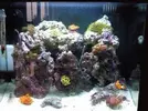 [TodoMarino.com] mi nuevo pequeño 48l.