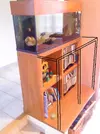[TodoMarino.com] Necesito ayuda!