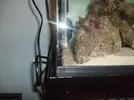 [TodoMarino.com] ayuda para arreglar este acuario