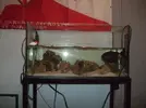[TodoMarino.com] ayuda para arreglar este acuario