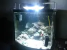 [TodoMarino.com] LED para NANO ==> Ya disponibles en tienda