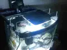 [TodoMarino.com] LED para NANO ==> Ya disponibles en tienda