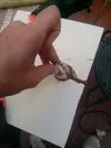 [TodoMarino.com] Como taladrar un acuario YA MONTADO....