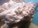 [TodoMarino.com] Iniciando un cubo de 60l