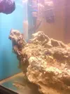 [TodoMarino.com] Iniciando un cubo de 60l