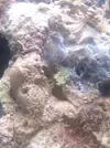 [TodoMarino.com] Iniciando un cubo de 60l