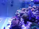 [TodoMarino.com] Ayuda con SUMP