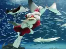 [TodoMarino.com] Feliz navidad a todos!!!!