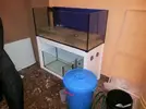 [TodoMarino.com] Reef Island 480L