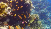 [TodoMarino.com] Mar Rojo