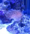 [TodoMarino.com] eheim 35L