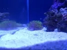 [TodoMarino.com] eheim 35L
