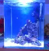 [TodoMarino.com] eheim 35L