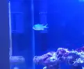 [TodoMarino.com] eheim 35L